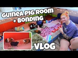 im back | PET VLOG |