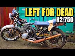 ABANDONED KAWASAKI H2 750 - SAVED!