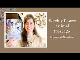 May 17-23, 2025: Weekly Power Animal Message And Crystal Healing Talisman. Swan symbolism