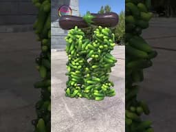 Create humanoid vegetable characters🥔🥬 stand up, walk, collide and fall down... 3D special effects