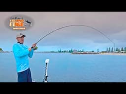 Dirty Water, Hot Bite: Rain-Affected Estuary Fishing on the NSW Coast