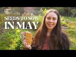 What to Sow Now for a Winter Garden 🥬 Quick & Easy to Grow Winter Vegetables
