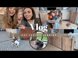 Montando nuestro nuevo APARADOR + eventos  |  Vikguirao