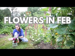 Flowers to Plant in Early Spring 2025
