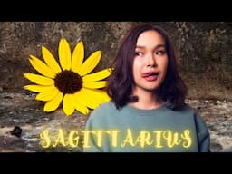 Sagittarius ♐️Beauty Emerging Out Of An Ugly Situation! There’s Nothing Your Enemies Can Do About It