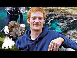 Diving to Get Rich | Spiky Gold Hunters | Adventure Series