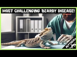 The Most Challenging Bearded Dragon Disease!