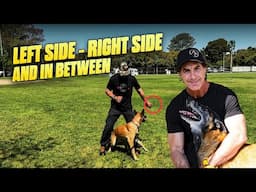 Make Obedience a Fun Game and Your Dog Will LOVE It