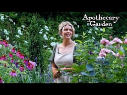 How to Design the Perfect Apothecary Garden: A Beginner's Guide to Medicinal Herbs & Herbalism