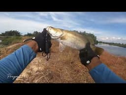 CASTING IKAN KAKAP DITAMBAK, HASIL NYA MEMUKAU !!!!