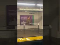 Platform Screen Fences at 75th Ave
