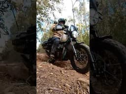 "Wrong Bike Blues" Royal Enfield Bear 650