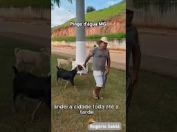 Essa vida de Catireiro não tá fácil viu _ #viralvideo #comedy