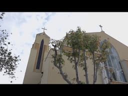 Catholic churches in San Diego are holding memorial mass services to honor Pope Francis