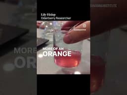 Elderberry juice is a pH indicator!