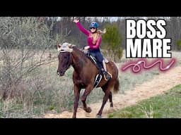 Auction Mare’s First Adventure!!! Will She Succeed?