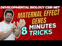 Maternal effect genes in drosophila CSIR NET | Drosophila genetics tricks to remember