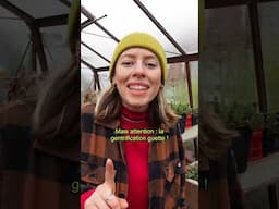 🌳 Les parcs publics : derniers espaces de gratuité en ville ?