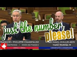 He did not answer my question: Conservative MP frustrated by finance & trade ministers' evasiveness