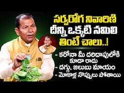 సర్వరోగ నివారిణి! ఒక్కటి నమిలి తింటే చాలు | Antibodies | Giloy | TippaTeega | Ganta Anandam | iDream
