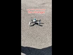 When it comes to friends, the stranger the better...