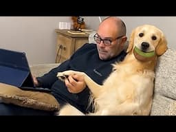 When Your Dog Has More Personality Than You 😎🐶 Funny Dog and Owner Videos 2025