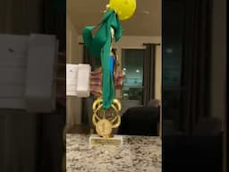 Mechanical Arm Demonstration