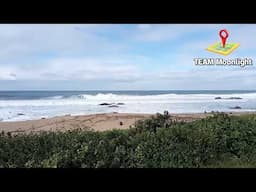 HUGE Waves, HUGE Winds, HUGE Shoals of SARDINES Still On Da Way #sardinerun2025 #team #moonlight