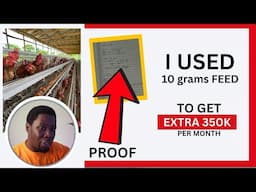 How I Used JUST 10 grams of Feed to Get EXTRA 350K from OUR LAYERS
