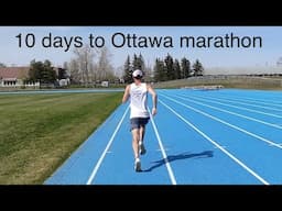SUB 2:30 MARATHON AGED 51 // Training week 12 // The hay is in the barn