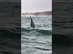 Windsurfing Huge Atlantic Swells! #windsurfing