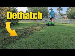 Should You Dethatch Your Lawn?