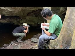 Unveiling the Deep: Fernando Calderón-Gutiérrez's Quest for New Species in Underwater Caves