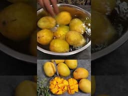 Mangoes తింటున్నారా? ఐతే ఈ వీడియో ఒక్కసారి చూడండి | Must see if You eat Mangoes