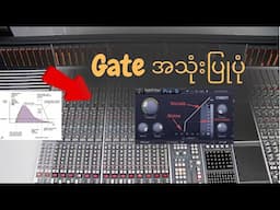 Gate ဟာအရမ်းကိုအသုံးတည့်ပြီး Live sound Mixing တွေအတွက်လည်း အရမ်းကိုလိုအပ်တဲ့အရာဖြစ်ပါတယ်