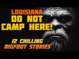 DO NOT CAMP HERE! 12 CHILLING BIGFOOT STORIES FROM LOUISIANA