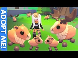 Returning to Adopt Me for the NEW Moose Family Pets!
