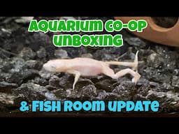$255 Aquarium Co-op UNBOXING