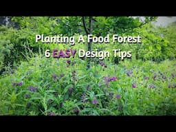 UK FOOD FOREST - Guilds, Shrubs & Underplanting - 6 EASY Design Tips