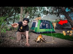 Jungle Mein Raat Ko Camping Ki... Phir Jo Hua Wo Socha Nahi Tha 🐆😱