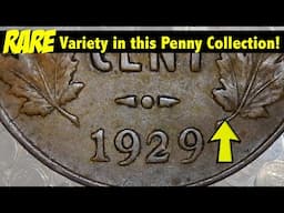 SUPER RARE 1929 "High 9" Variety in this *HUGE* Coin Collection!