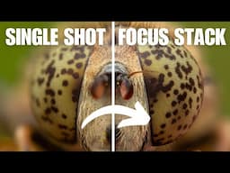 How to Edit Focus Stacks - Focus Stacking Tutorial Part 2