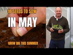 18 Best Seeds to Sow in May for a Thriving Summer Garden