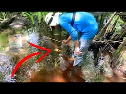 FLORIDA MAN Catches Catfish in a *BEER CAN*!!