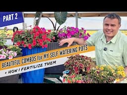 Beautiful Plant Combos for My Self-Watering Container Trials + How I Fertilize