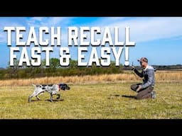 FIX Recall Problems | EASY Collar Conditioning for Puppies
