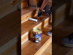¿Cuál es el mejor protector de madera?