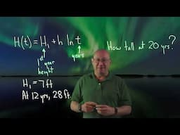 The Math of Tree Growth