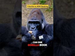 One Gorilla vs AEW Booking #shorts