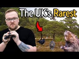 Tracking Down The UK's Rarest Animals In The Scottish Wilderness